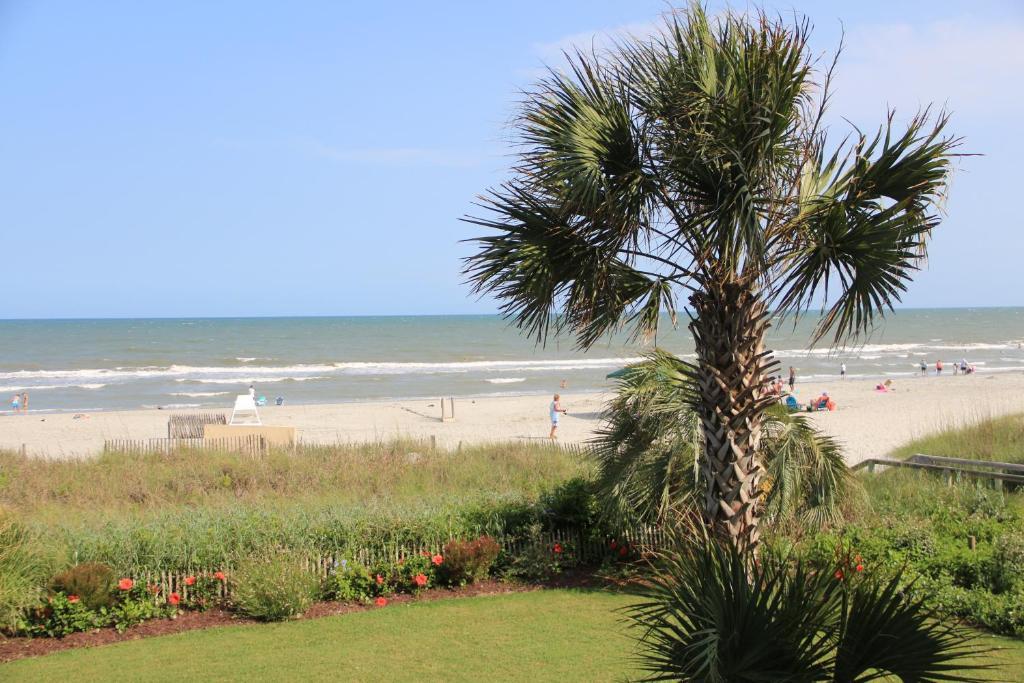 Hotel Jade Tree Cove à Myrtle Beach Extérieur photo